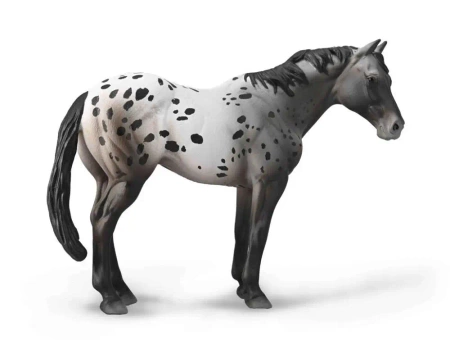 Niebieski Deresz Appaloosa - Collecta