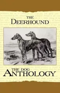 The Deerhound - A Dog Anthology (A Vintage Dog Books Breed Classic) - Various