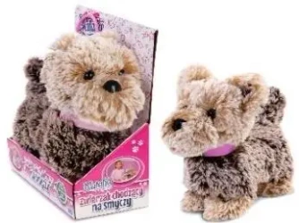 Piesek chodzący na smyczy - Artyk