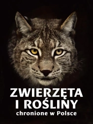 Zwierzęta i rośliny chronione w Polsce - Izabella Sieńko-Holewa, Sylwia Weber
