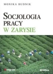 Socjologia pracy w zarysie - Monika Budnik