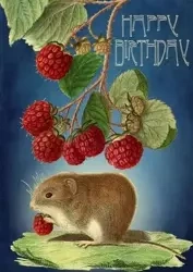 Karnet B6 z kopertą Urodziny Myszka - Madame Treacle