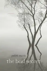 Bad Secret - Harris Judith