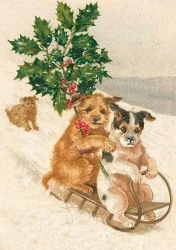 Karnet ST327 B6 + koperta Pieski na sankach Święta - Skona Ting