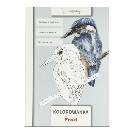 Kolorowanka Ptaki