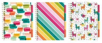 Project Book Colour Wash B5/100K linia mix (3szt) - PUKKA