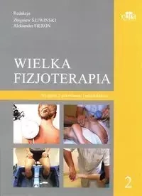 Wielka Fizjoterapia Tom 2 - Śliwiński Z. ,  Sieroń A.