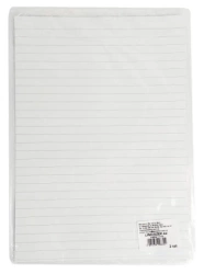 Liniuszek A4 kratka/linia 2szt - Beniamin