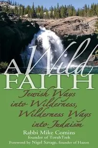 A Wild Faith - Mike Comins Rabbi