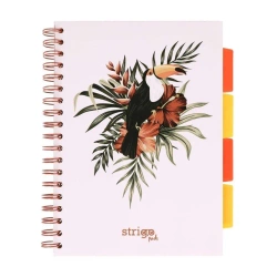 Kołozeszyt Pads B5/100K kratka Tropiki Pelikan - Strigo