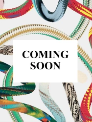 Goya. The Complete Prints - Anna Reuter