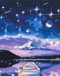 Malowanie po numerach - Gwiaździsta noc 40x50cm - Twoje Hobby