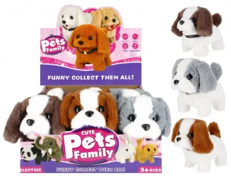 Pies Interakt B/o 13x17x15 Mc Disp 6/72