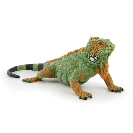 Iguana - PAPO