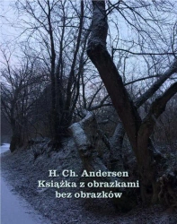 eBook Książka z obrazkami bez obrazków - Hans Christian Andersen epub mobi