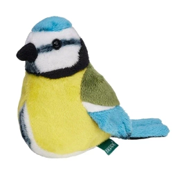 Modraszka 13cm - Beppe