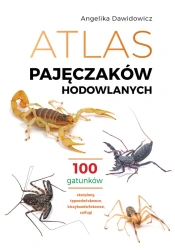 Atlas pajęczaków hodowlanych. 100 gatunków - Angelika Dawidowicz