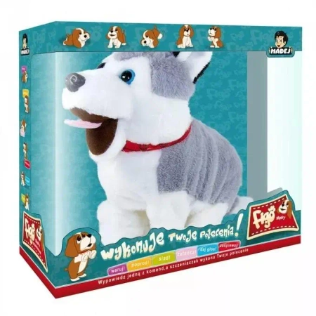 Maskotka interaktywna Figo. Pies husky reagujący na komendy