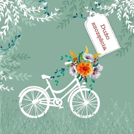 Karnet Swarovski kwadrat CL3405 Dużo szczęścia - Clear Creations