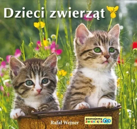 Poznajemy zwierzęta. Dzieci zwierząt LIWONA - Rafał Wejner