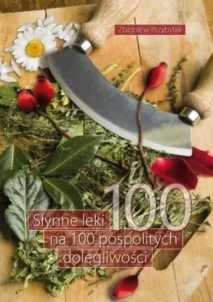 Słynne leki na 100 pospolitych dolegliwości - Zbigniew Przybylak