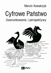 Cyfrowe Państwo. Uwarunkowania i perspektywy - Marcin Kowalczyk