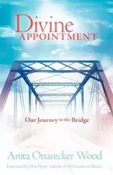 Divine Appointment - Anita Wood Onarecker