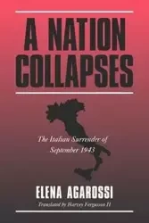 A Nation Collapses - Aga Elena Rossi