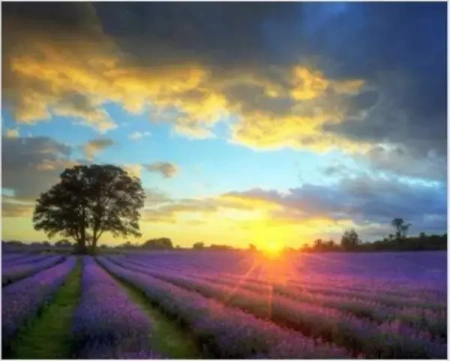 Diamentowa mozaika Wschód słonca nad polem 30x40cm 1008681 - Norimpex