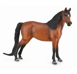 Morgan Bay Deluxe - Collecta