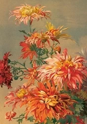 Karnet ST493 B6 + koperta Pomarańczowa dalia - Skona Ting