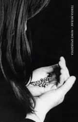 Nowe spojrzenia - Teresa Murak