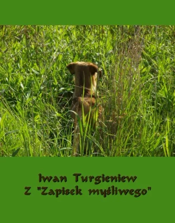 eBook Z „Zapisek myśliwego” - Iwan Turgieniew mobi epub