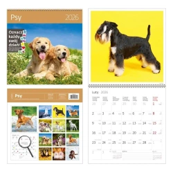 Kalendarz 2026 ścienny 30x30 Psy HELMA