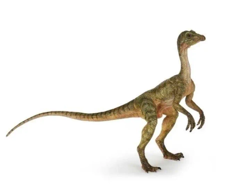 Compsognathus - PAPO