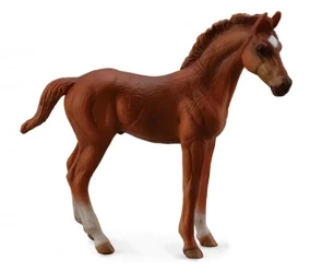 Źrebię Thoroughbred Foal Standing Chesnut - Collecta