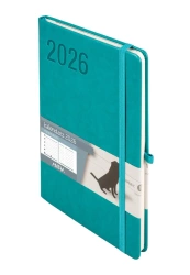 Kalendarz 2026 A5 Minimalizm turkus TNS - -