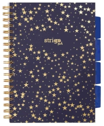 Kołozeszyt Pads B5/100K kratka Gwiazdy - Strigo