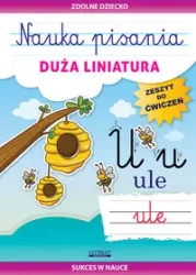 Nauka pisania. Duża liniatura. Zeszyt do ćwiczeń - Beata Guzowska