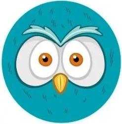 Piłka PVC 230MM - Sówka - Artyk