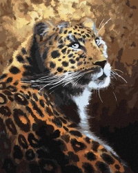 Malowanie po numerach - Drapieznik 40x50cm - Ideyka