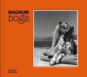 Magnum dogs wer. angielska - Jonny Clowes