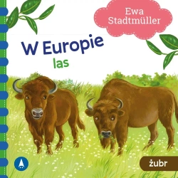 W Europie. Las. Żubr - Ewa Stadtmller
