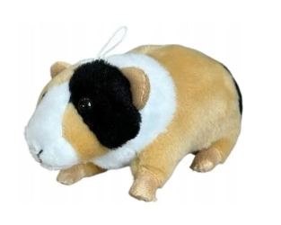 Świnka morska łaciata 14cm - Dubi