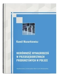 Nierówność wynagrodzeń w przedsiębiorstwach.. - Kamil Mazurkiewicz