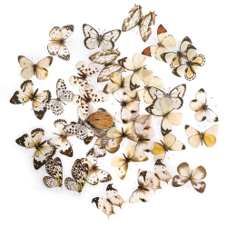 Naklejki PET - Motyle black&white 40szt - Dalprint dpCraft