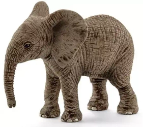 Wild Life. SLH14763. Młody słoń afrykański