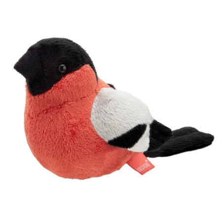 Gil zwyczajny 13cm - Beppe