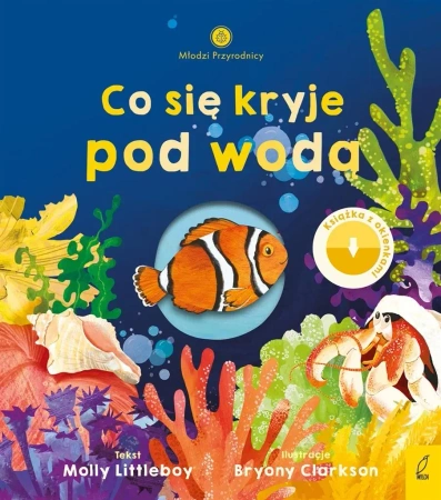 Młodzi przyrodnicy. Co się kryje pod wodą - Molly Littleboy, Patrycja Zarawska