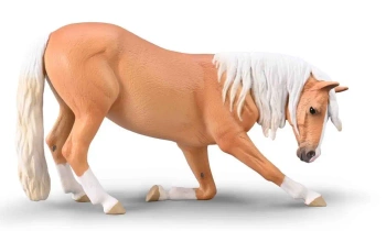 Klacz lusitiano kłaniająca się maści izabelowatej - Collecta
